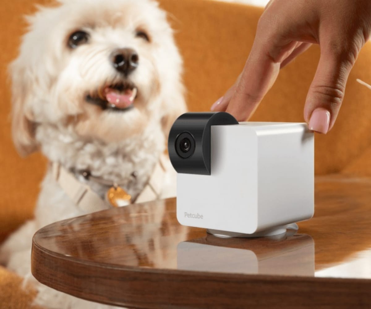 Pet Cameras