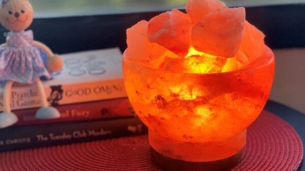 Himalayan Salt Lamp