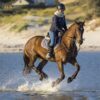 Horse riding